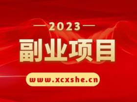 2023最新蓝海快递代发项目，小白零成本照抄也能日入300+